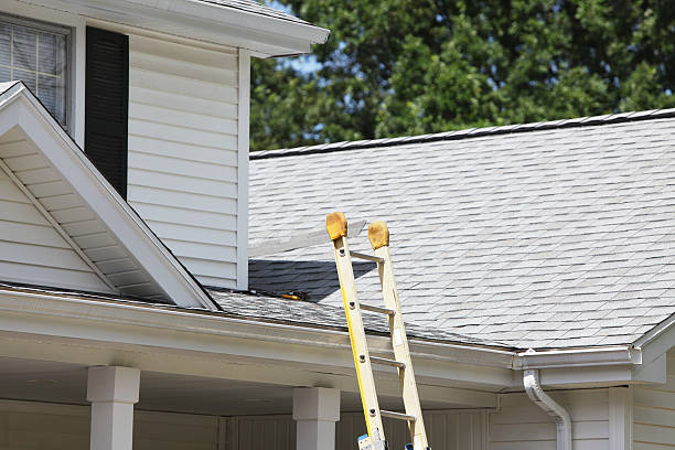 Trusted Bethel, WA Siding Installation & Repair Experts